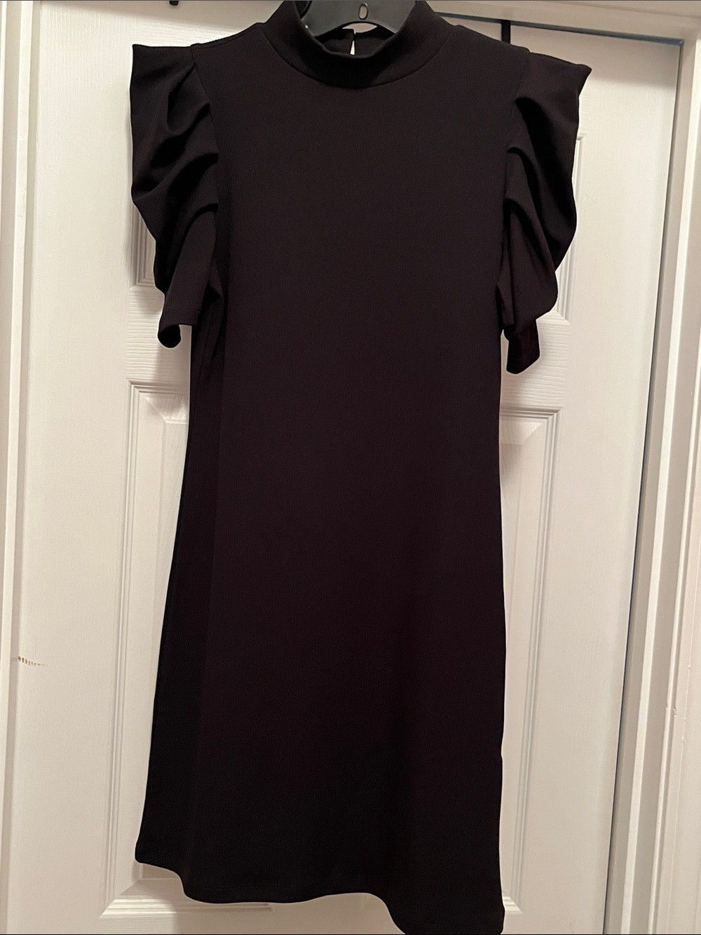 TCEC Black Mini Dress with Statement Ruffled Sleeves